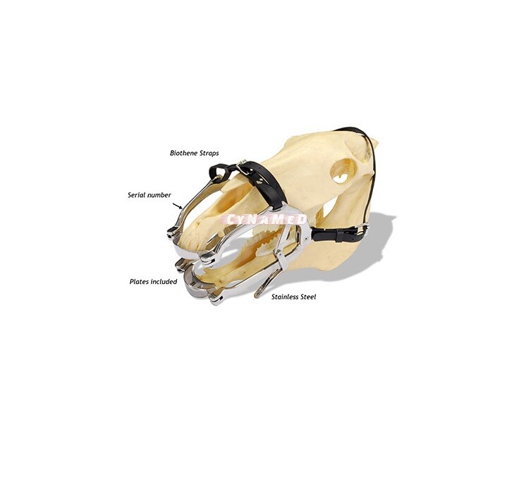 Equine Dental Speculum Horse Mouth Gag - Stainless Steel With Leather | CYNAMED