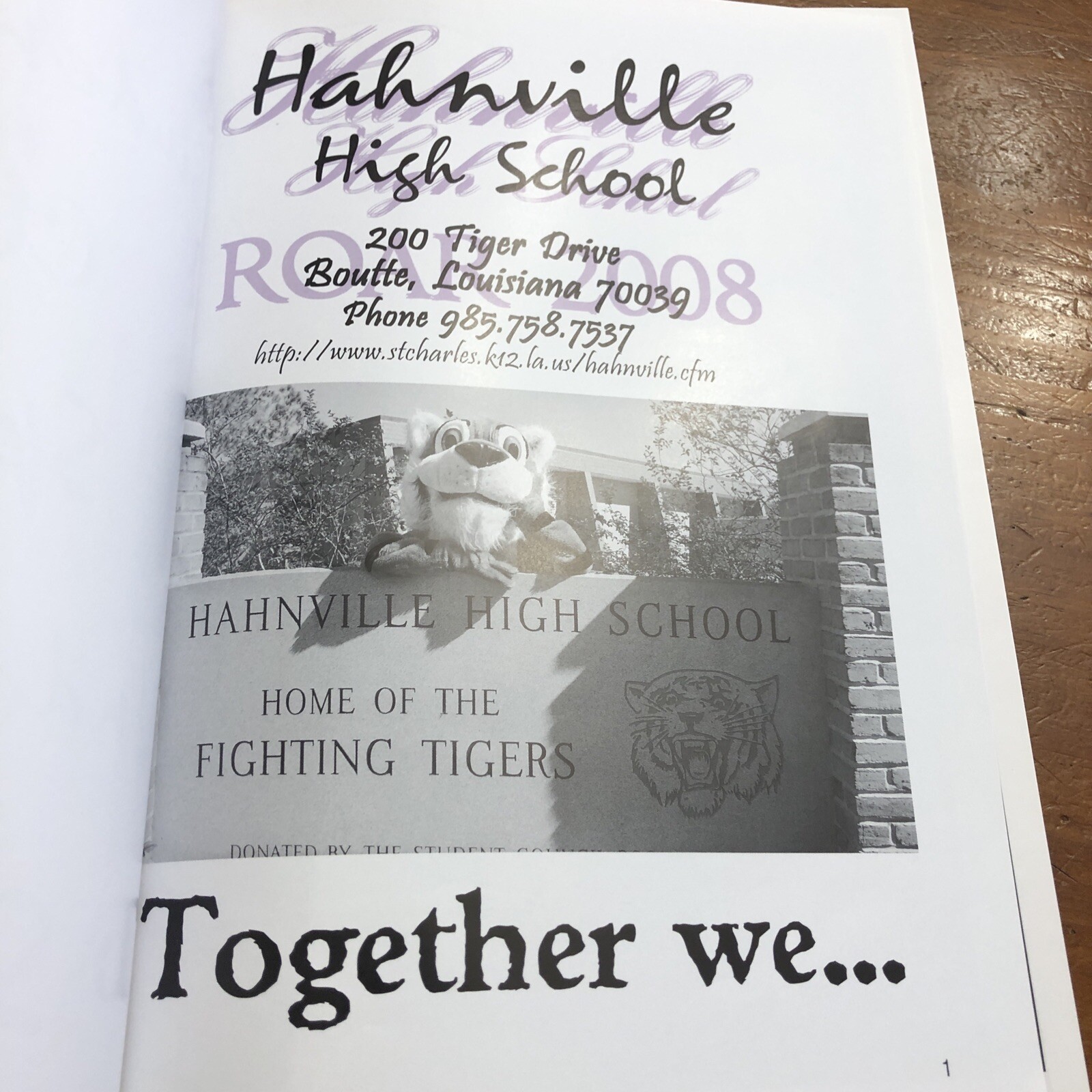 2007 2008 HAHNVILLE HIGH SCHOOL YEARBOOK LOUISIANA THE ROAR Tigers eBay