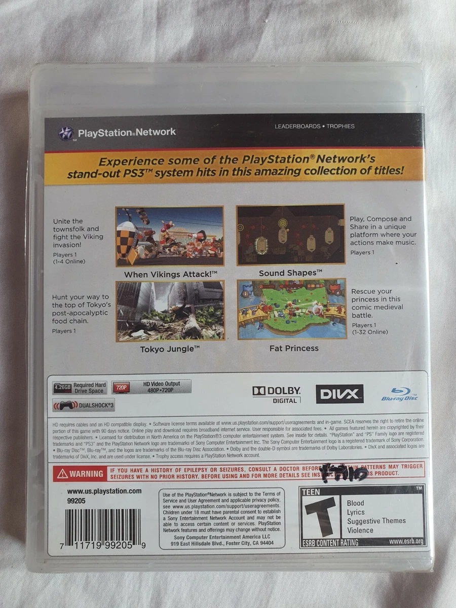 Playstation hotsell network gb