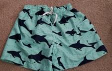 Boys Size 6T Shark Swim Shorts