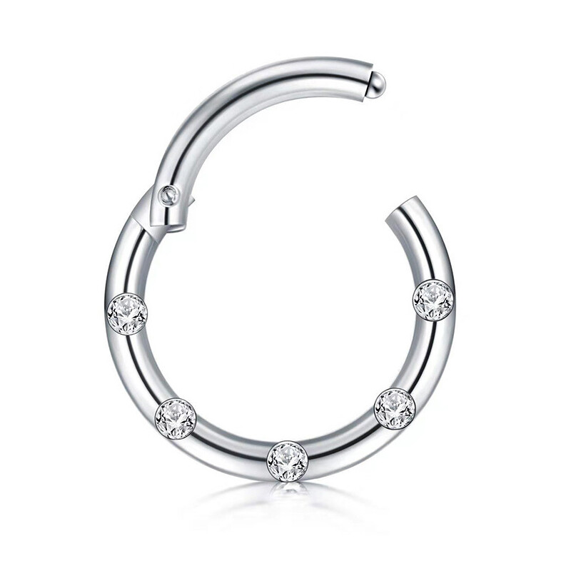 Double Hoop Nose Ring Pair 16G Titanium Polished Hinged Hoop