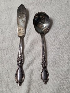 Vintage WM Rogers Serving Spoon and Butter Knife, Victoria Rose, Used