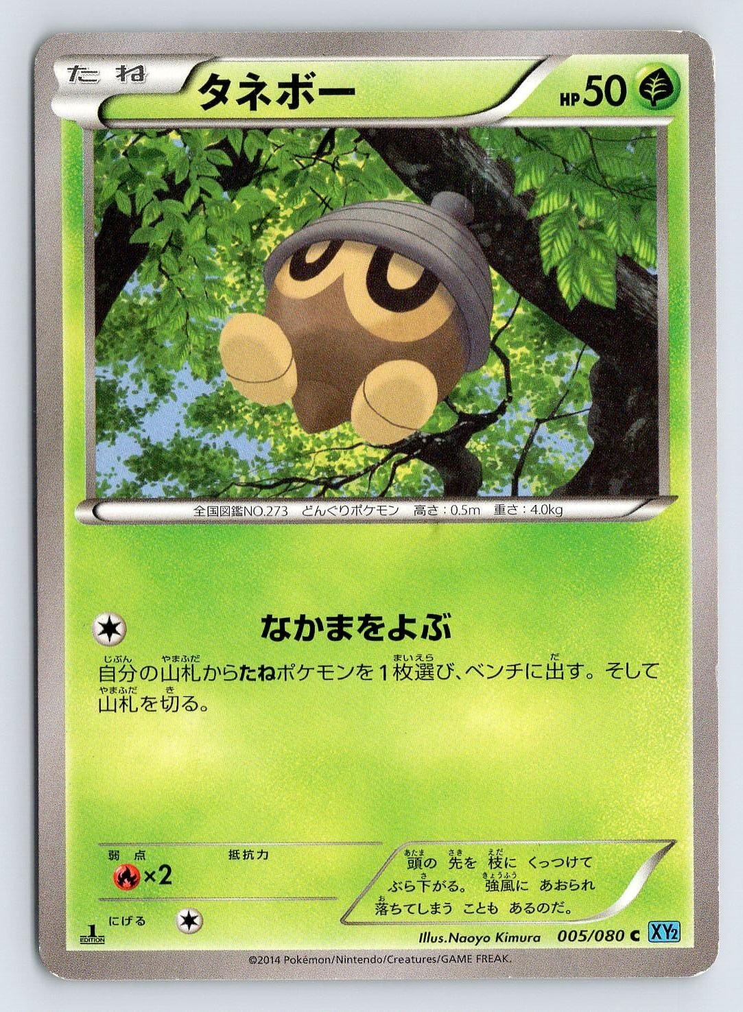 Seedot 005/080 Pokemon Card Japanese XY2 Wild Blaze 1st Edition 2014 - DMG
