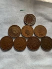Indian Head Pennies Lot of 8 Coin Collectible.     Mixed Dates. ￼
