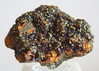 Sphalerite with Chalcopyrite from Tri-State area. Mason collection.