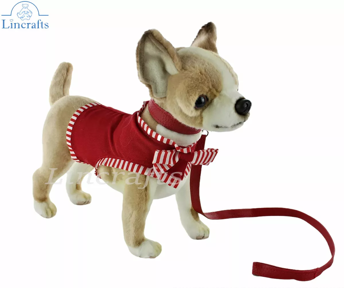 Chihuahua accessories cheap uk