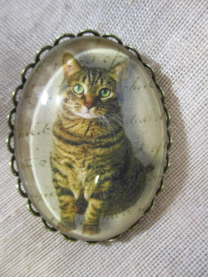 XL CRISTAL CÚPULA IMAGEN BOTÓN PACIENTEMENTE "ESPERANDO" GATO ATIGRADO OJOS VERDES 1-1/2 pulgada Foto 2 de 3