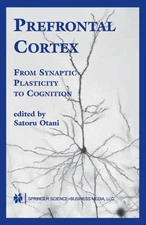 Otani - Prefrontal Cortex   From Synaptic Plasticity to Cognition - Ne - X555z
