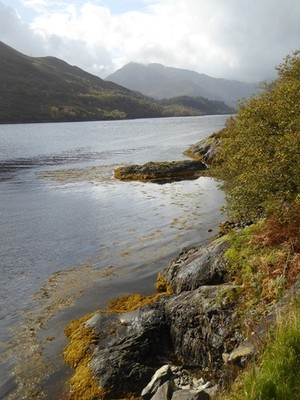 Photo 6x4 The rocky northern shore of Loch Leven Glencoe/NN1058  c2017