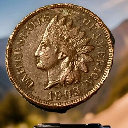 1903 Indian Head Cent Actual Coin Shown - A8