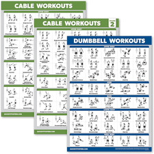 3 Pack - Cable Machine Workout Posters Volume 1 2 Dumbbell Exercise Chart
