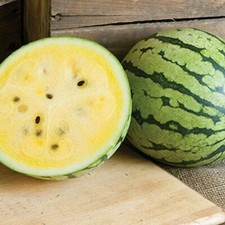 Yellow Petite Watermelon Seeds Heirloom / Non-GMO Free Shipping 1049