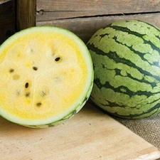 Yellow Petite Watermelon Seeds | Heirloom / Non-GMO | Free Shipping | 1049