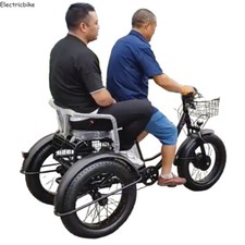 20" Electric Snow Tricycle 48V Cargo Manned E-Trike 3 Wheel Bike for 2 Adults