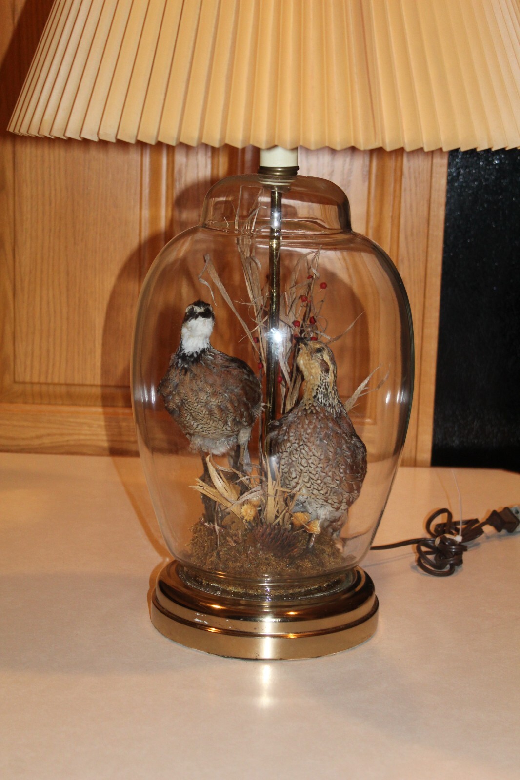 Pair Bobwhite Quail Lamp Taxidermy Log Cabin Decor Mount Spruce Hen