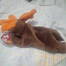 TY Beanie Baby Chocolate the Moose