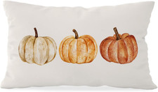 Fall Pumpkin Throw Pillow Cover 12X20, Fall Room Decor, Autumn Decor Pillow Cove