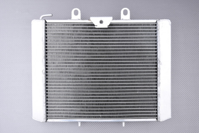 Refroidisseur de course premium en aluminium pour CF MOTO CFORCE 800XC de 2019 à 2024