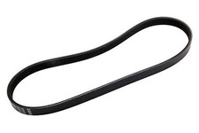 Serpentine Belt