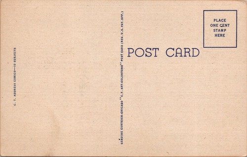 Devil Here's an Order for You Teich Linen Postcard Vintage JH7 - Picture 4 of 4