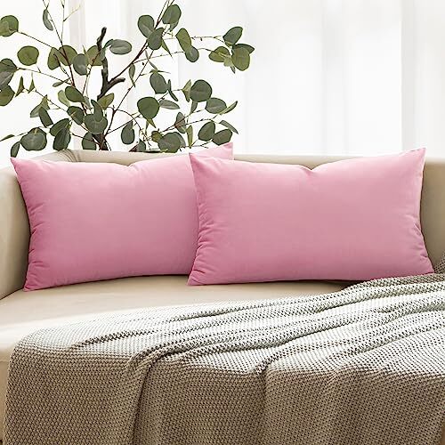 Pack of 2 Velvet Throw Pillows Spring 12x20 Inch (Pack of 2) Baby Pink