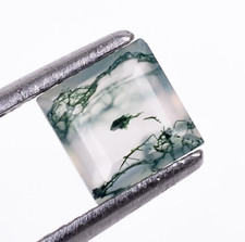 Brilliant Cut Moss Agate Square 6X6mm Loose Gemstone Birthday Gift 0.60 Ct.