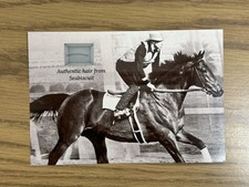 Seabiscuit Hair Strand Lock Relic Historic Horse Mane Kentucky Derby Racehorse