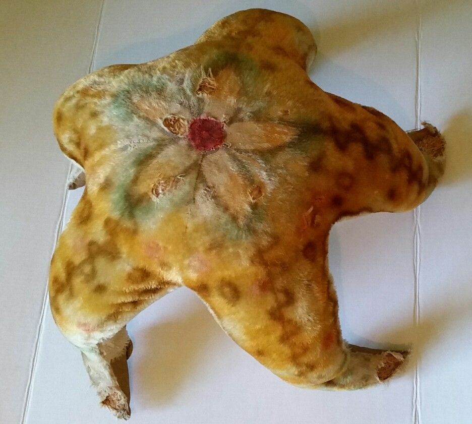 steiff starfish