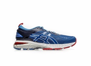 gel kayano 25 mita