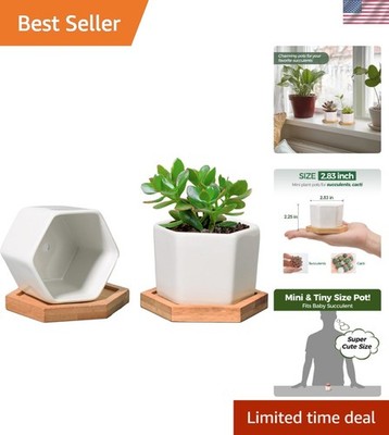 Small White Succulent Planter Pots with Bamboo Tray Hexagon Set of 2, Geometr...
