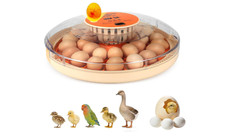 Incubadora De Huevos Automatica Para Huevos De Pato Gallina Codorniz 30 Huevos