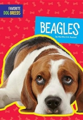 Martha E H Rustad Beagles (Taschenbuch) Favorite Dog Breeds
