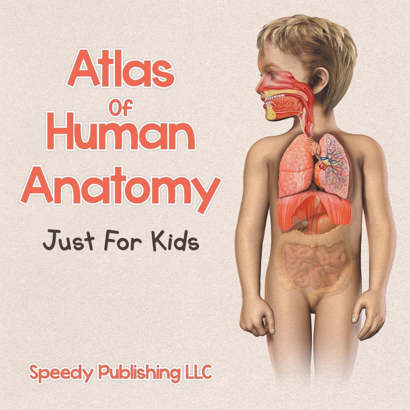 Thumbnail - Atlas Of Human Anatomy Just For Kids Speedy Publishing Llc Taschenbuch
