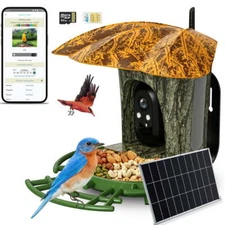 Bird Feeder Solar Smart Bird Watcher 2K Camera Auto Captures Bird Videos