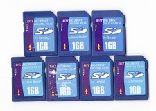 Lot Of 7x Ritz Big Print By Lexar 1GB SD Camera Memory Cards