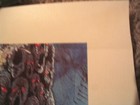 ELRIC Tim Conrad The Emperor's Leave-Taking Ltd. Ed. Print 140/500 1976 Moorcock — photo 6