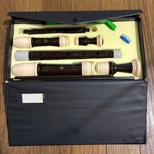 Zenn Alto SopraRecorder Case