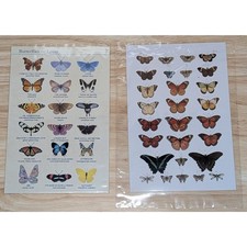 Lot of 2 Butterfly Art Postcards Vintage Style Nature Illustration Decor