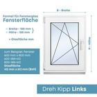 Bild 11 von 12