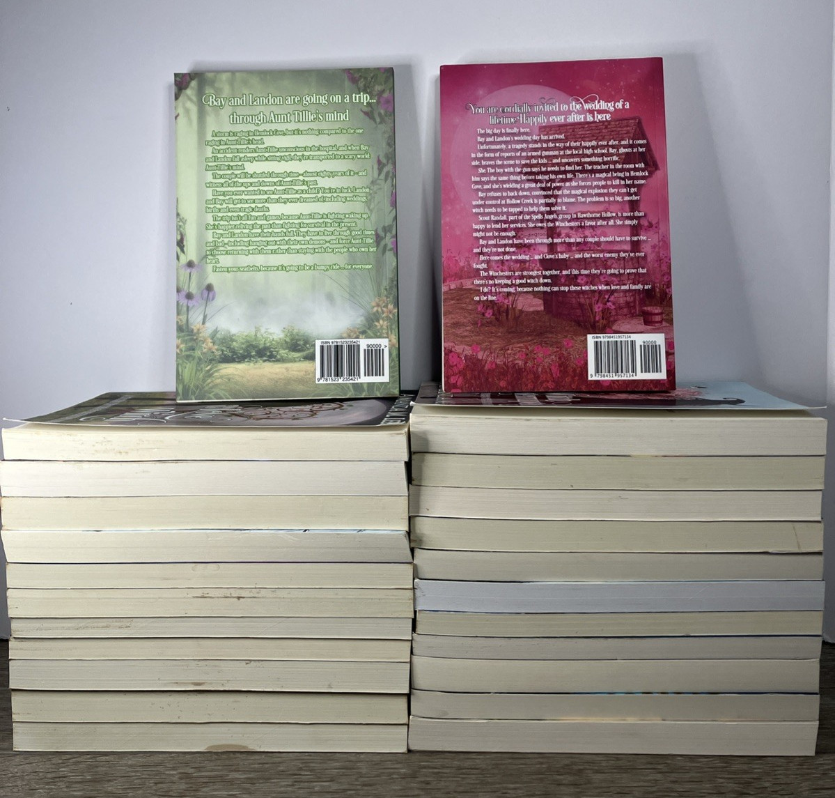 A Wicked Witches of the Midwest Mystery & Fantasy  Amanda M. Lee 24 PB Novels thumbnail 2