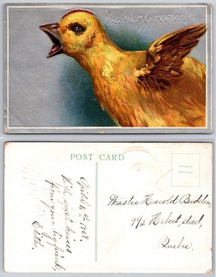 Easter Greetings Yellow Bird Illustration Postcard