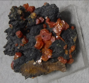 Vanadinite crystals on Psilomelane, from Tauoz, Morocco