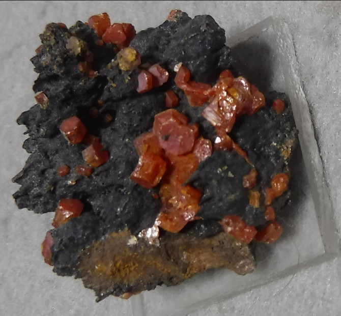 Vanadinite crystals on Psilomelane, from Tauoz, Morocco