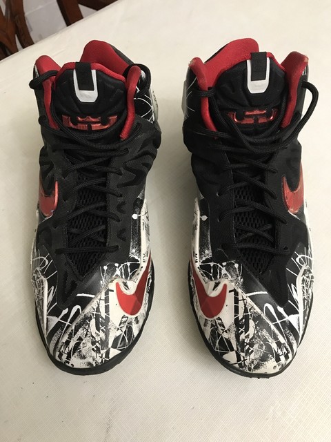 lebron james 11 shoes