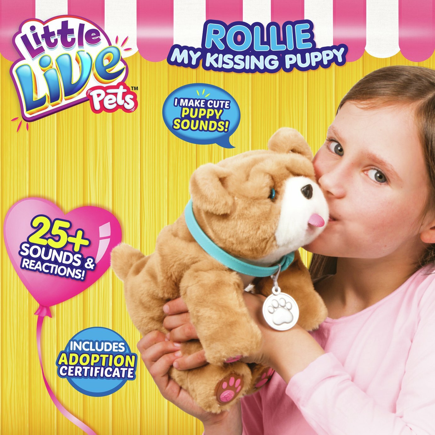 rollie dog toy