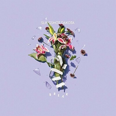 Break by Slingshot Dakota (CD, 2016) NEW FACTORY SEALED CD