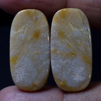 38.80 Ct Natural Maligano Jasper Cab Pair Earring Jewelry Supply Gemstone TXT-30