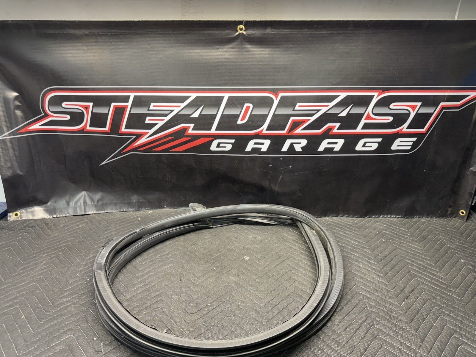 Audi R8 V10 4S Front Left Driver Side Door Molding Weatherstrip 2017 - 2023 OEM