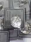 Silver Eagles, 2016, 10 coin lot in