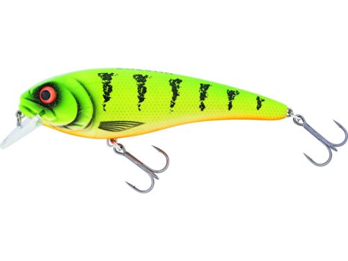 Westin Rawbite crankbait. Fishing lures, pike, zander perch Hard lures wobbler - 第 9/9 張圖片